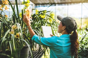 Femme asiatique voyage se détendre orchidée éducation écrire des notes dans le jardin d’orchidées, orchidée de fond.
