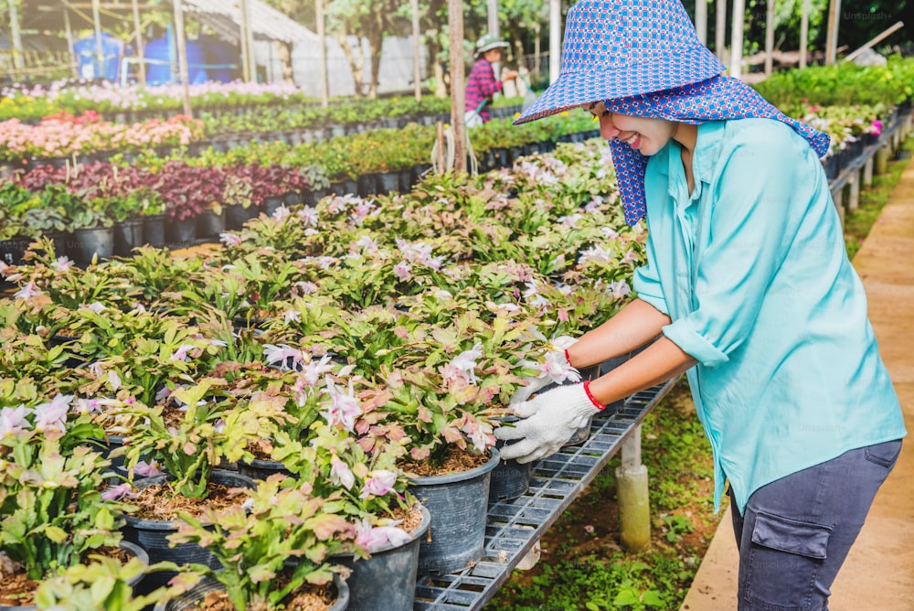 Happy worker asian woman with planting flowers taking care of flowers in greenhouse.