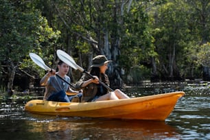 아시아의 매력적인 낭만적 인 젊은 커플은 숲 호수에서 카약을 젓고 있습니다. 배낭 여행자와 여자는 아름다운 맹그로브 숲에서 카누를 타고 여행과 카약을 즐기며 함께 휴가 휴가를 보냅니다.