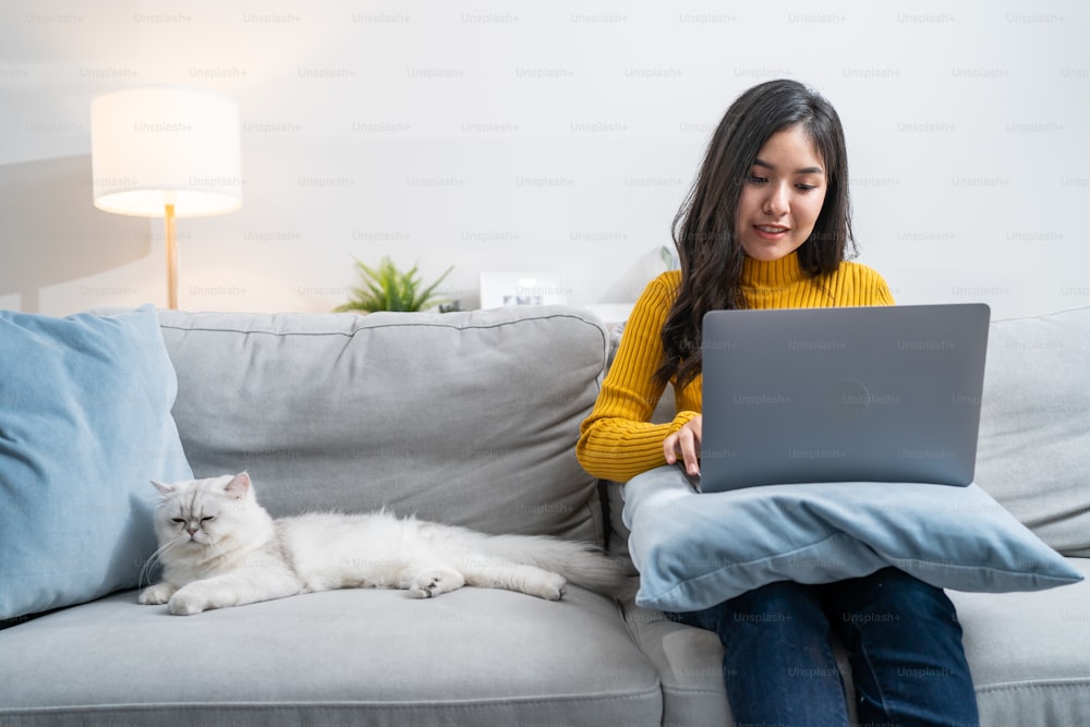 Asiatische junge Geschäftsfrauen streicheln Hauskatze, während sie am Laptop arbeiten. Attraktive schöne Frau sitzen auf dem Sofa, lernen online von zu Hause aus mit ihrem kleinen Kätzchen Tier mit sanft im Wohnzimmer zu Hause.