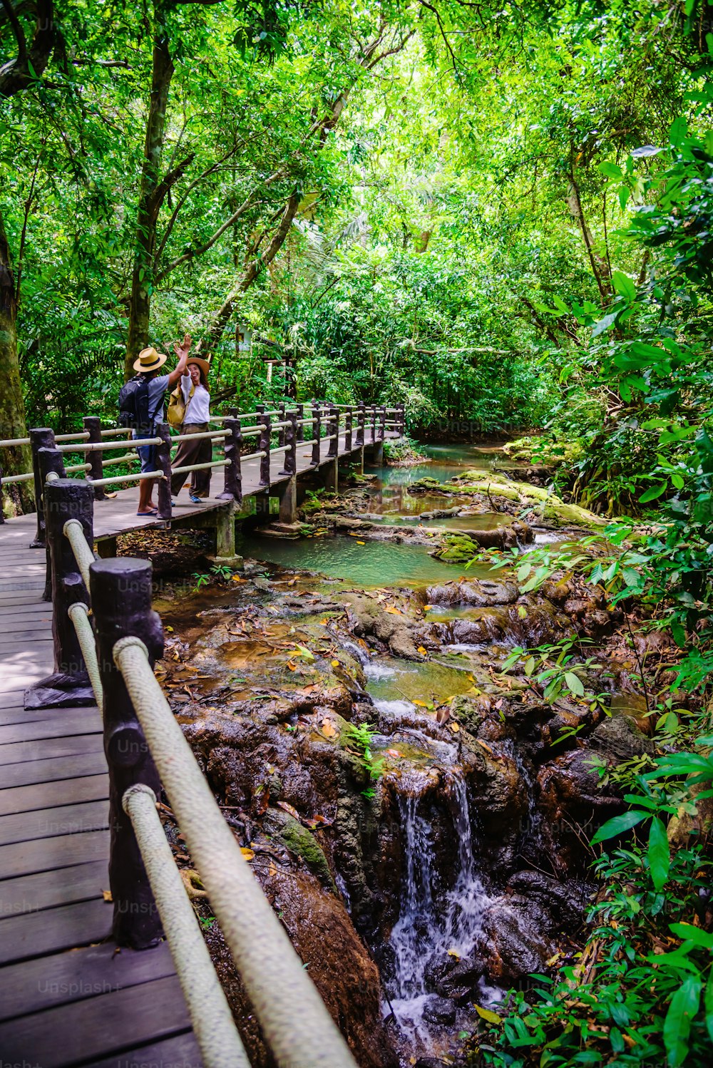 アジアのカップルはマングローブの森を幸せに旅します。木の橋の上を歩く旅。自然遊歩道、タンボックの滝、レクリエーション、旅行、バックパック、自然、観光、田園地帯、スタイル、森林、冒険。