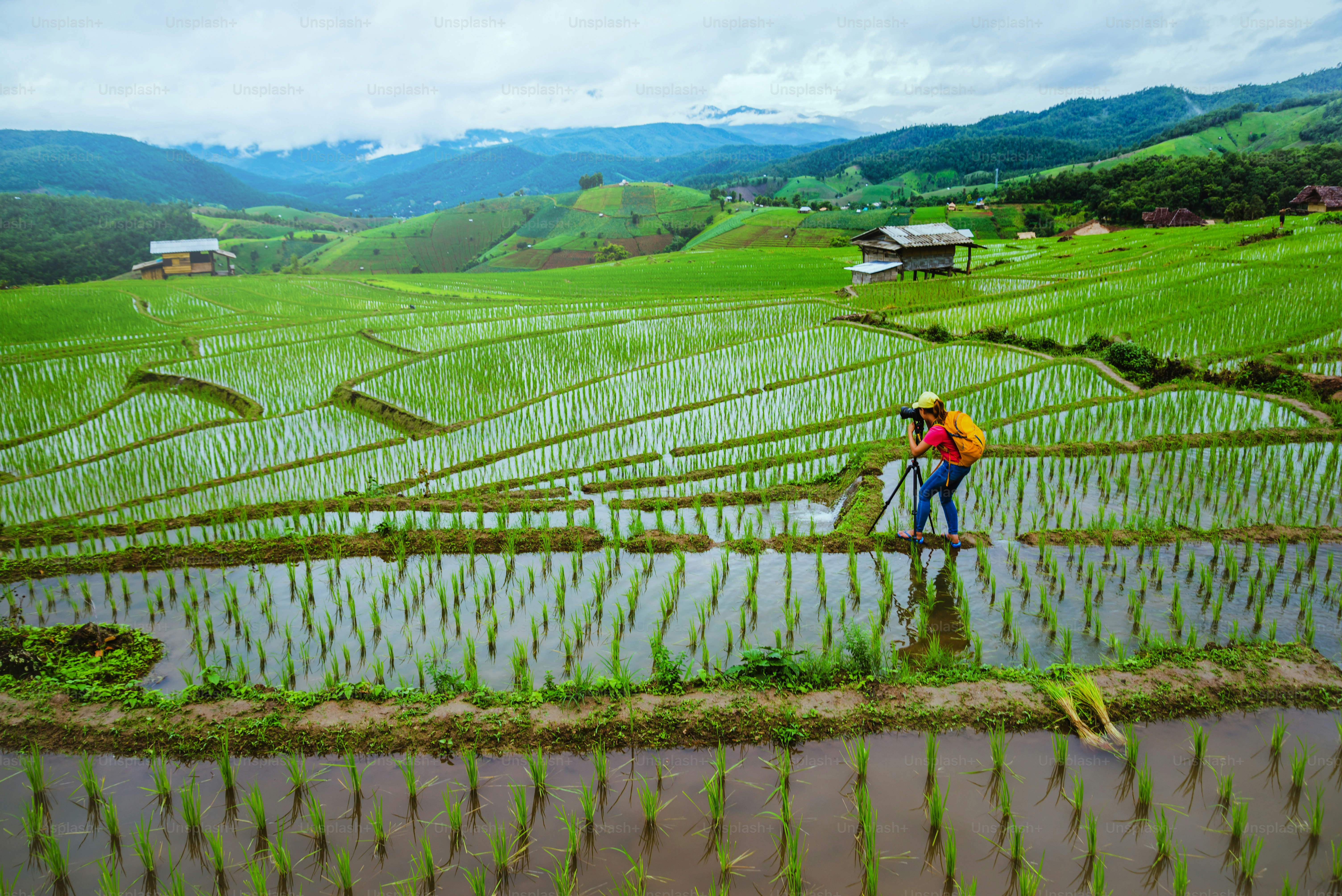 Isaan rice fields and rural school