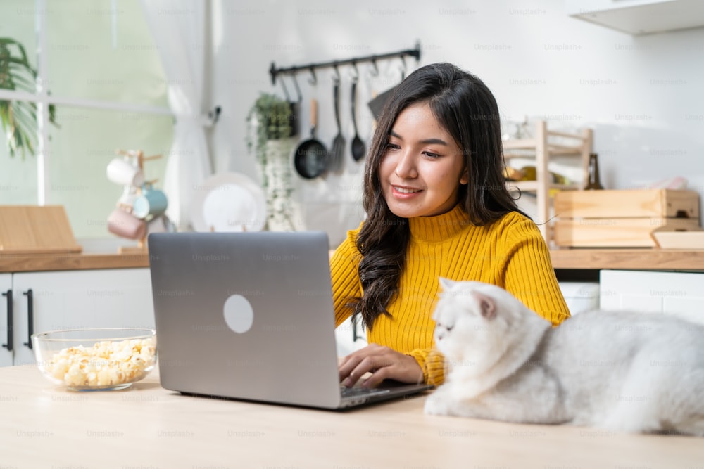 Asiatische attraktive Geschäftsfrau tippt auf dem Laptop und schaut sich ihre Katze an. Junge schöne Büroangestellte sitzt am Tisch, fühlt sich glücklich und genießt es, ihr Haustier zu haben, während sie während der Pandemiezeit von zu Hause aus arbeitet.