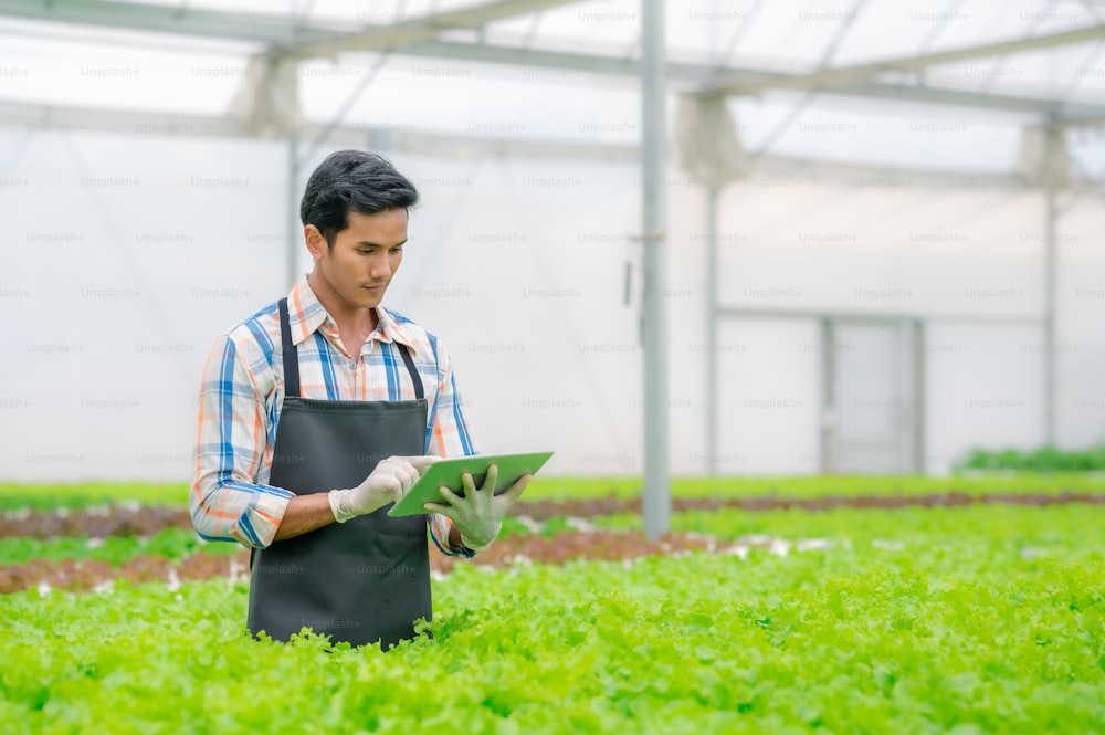 Granjero asiático feliz que usa una tableta digital para controlar el sistema de granja de ensaladas de verduras de invernadero hidropónico