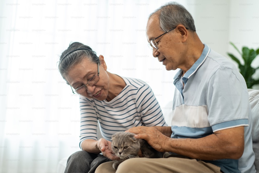 Asian senior couple stroking and play with domestic cat in living room. Happy family, Attractive elderly mature man and woman grandparents sit on sofa, spend free leisure time with their pet in house.