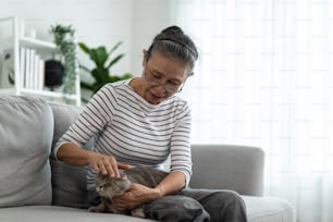 Donna anziana asiatica che accarezza e gioca con il gatto domestico in soggiorno. Attraente nonna matura anziana seduta da sola sul divano, goditi il tempo libero libero con il suo gattino insieme in casa.
