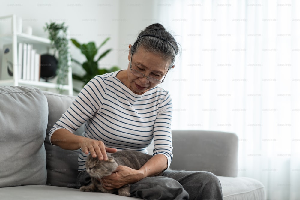 Asiatische ältere Frau streichelt und spielt mit Hauskatze im Wohnzimmer. Attraktive ältere reife Großmutter sitzt allein auf dem Sofa und genießt die freie Freizeit mit ihrem Kätzchen Haustier zusammen im Haus.