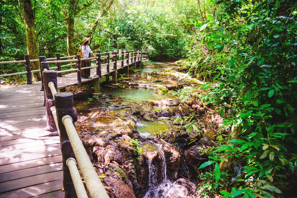 Les filles sont heureuses de se rendre dans la forêt de mangroves. Elle marche sur un pont en bois. Sentier de la nature, cascade de Thanbok, loisirs, voyage, sacs à dos, nature, tourisme, campagne, style, forêt, aventure.