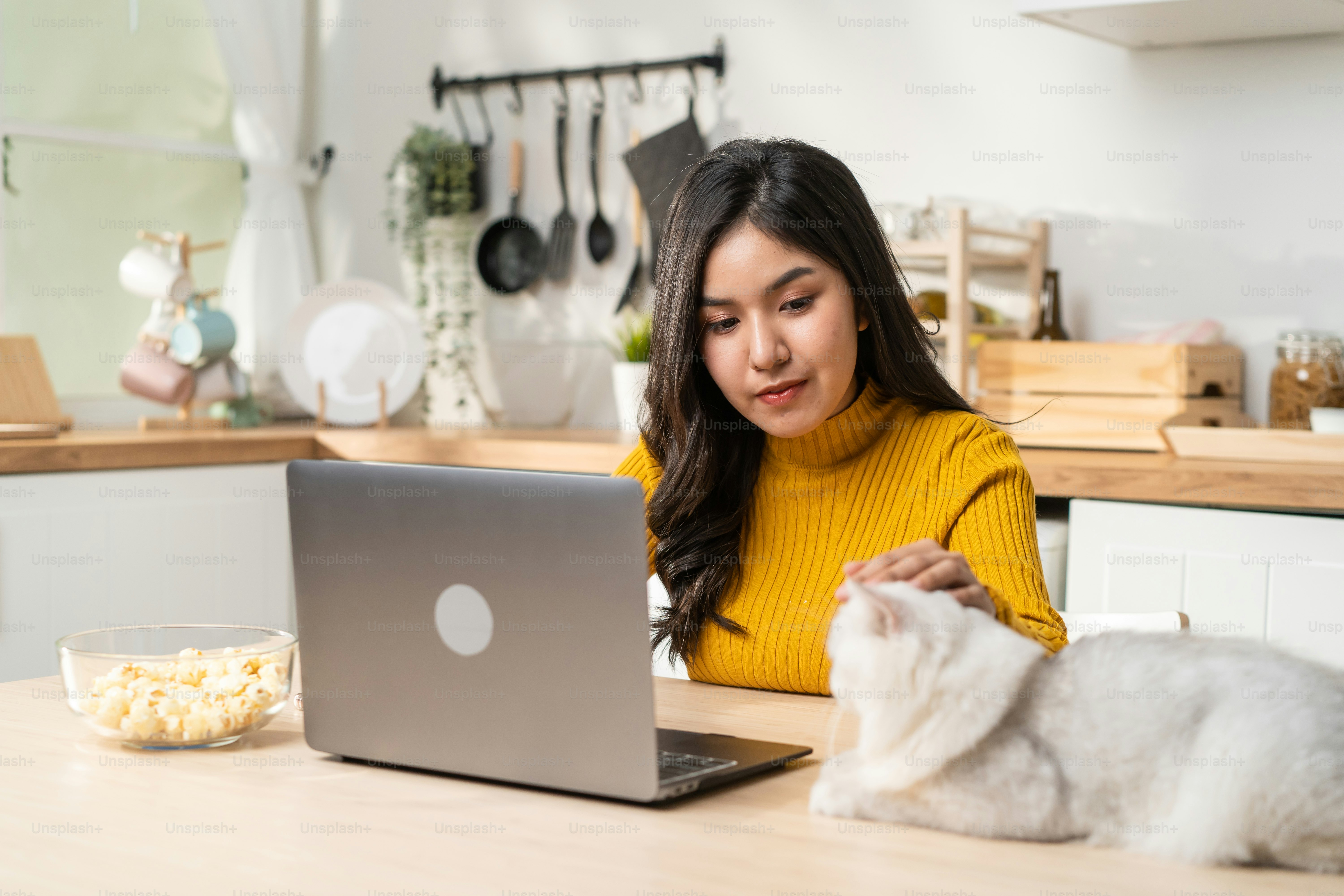 Asian attractive business woman typing on laptop and look at her cat. Young beautiful female office worker sit on table, feel happy and enjoy having her pet while work from home during pandemic time.