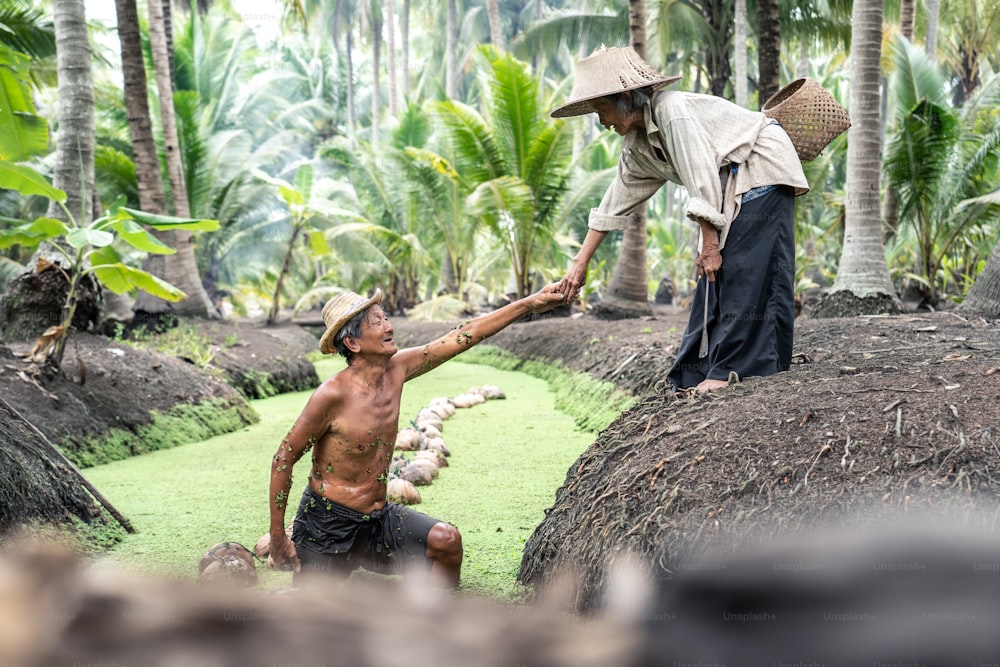 Asian loving romantic senior elder couple farmer work in coconut farm. Older grandmother farmer smiling, picking up husband from canal after work and watering tree in garden. Agriculture of old couple