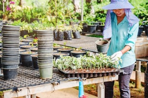 Cultivo de plantas de plántulas trabajadora agrícola femenina en flores de jardín que está plantando plantas jóvenes para bebés que crecen.