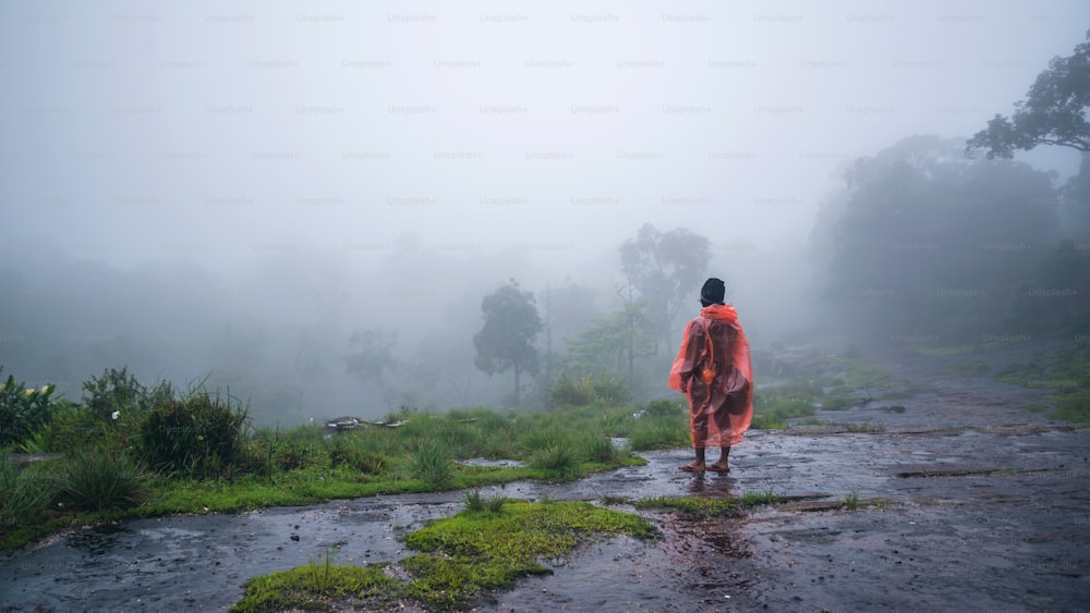 turista com capa de chuva a pé viagem aventura natureza na floresta tropical no Parque Nacional Phu Hin Rong Kla. viajar natureza, Viagem relaxar, Viagem Tailândia, estação chuvosa.