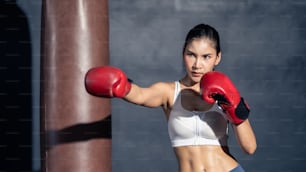 Asian beautiful sport boxer wear boxing glove practice punch in gym. Attractive active athlete fighter workout exercise hitting and punching sandbag to maintain muscle for health in fitness stadium.