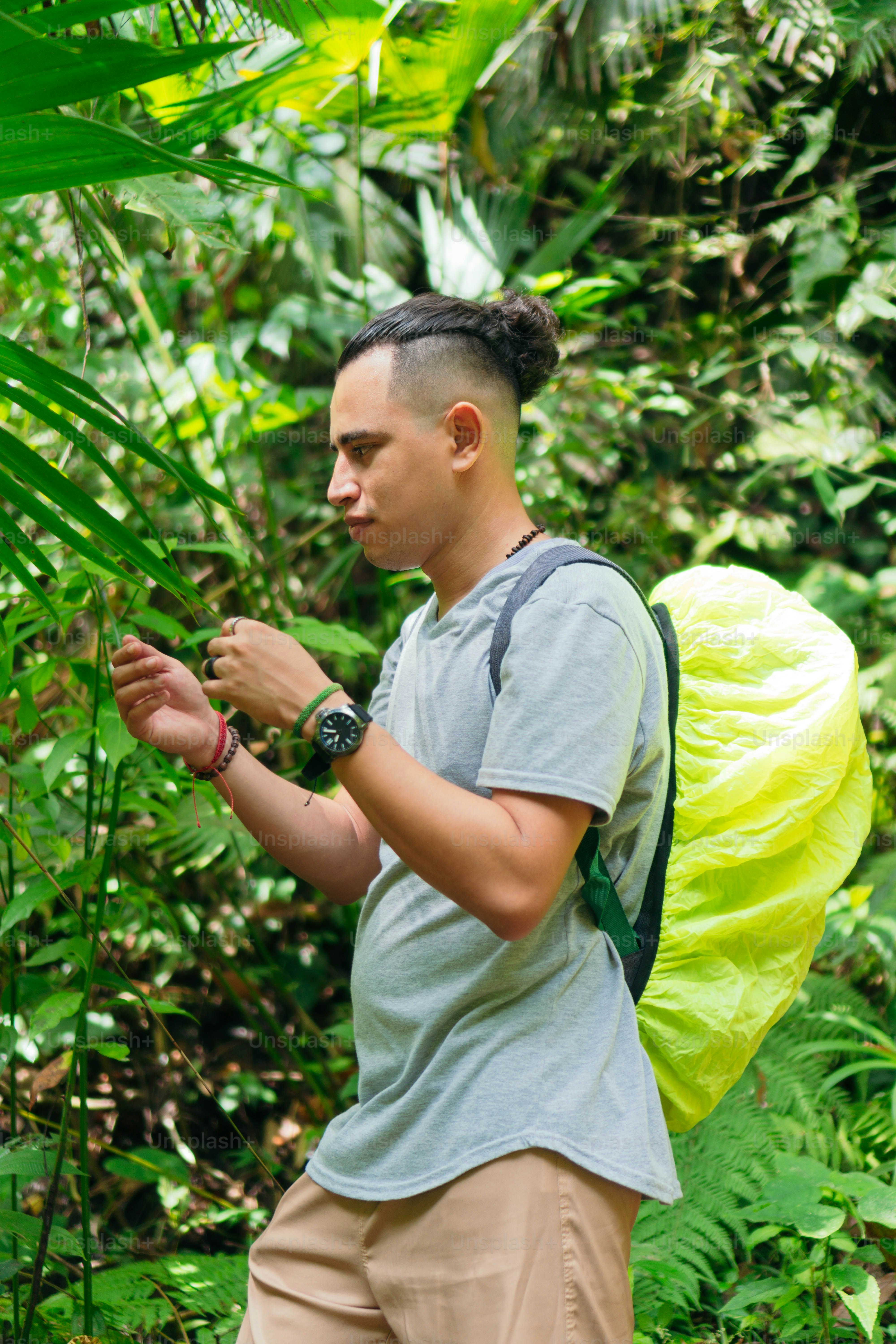 A man stops and takes in the natural surroundings of a beautiful forest