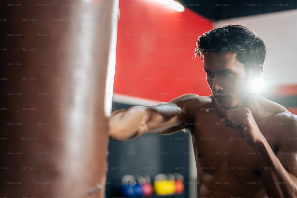 Asian active professional sport young man exercising in fitness gym. Attractive athlete sportsman workout by punching to sand bag to maintain strong muscle for health care in gym stadium or gymnasium.