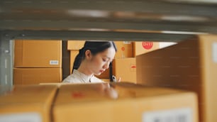 Asian woman working at online store warehouse checking inventory stock parcel boxes on shelves, online e-commerce retail small business concept