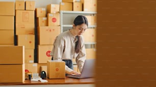 Asian woman working at online store warehouse using laptop computer over parcel boxes on shelves, online e-commerce retail small business concept