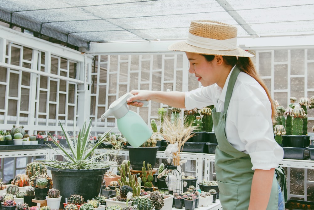 Young Asian woman SME small business entrepreneur water the plant in cactus farm