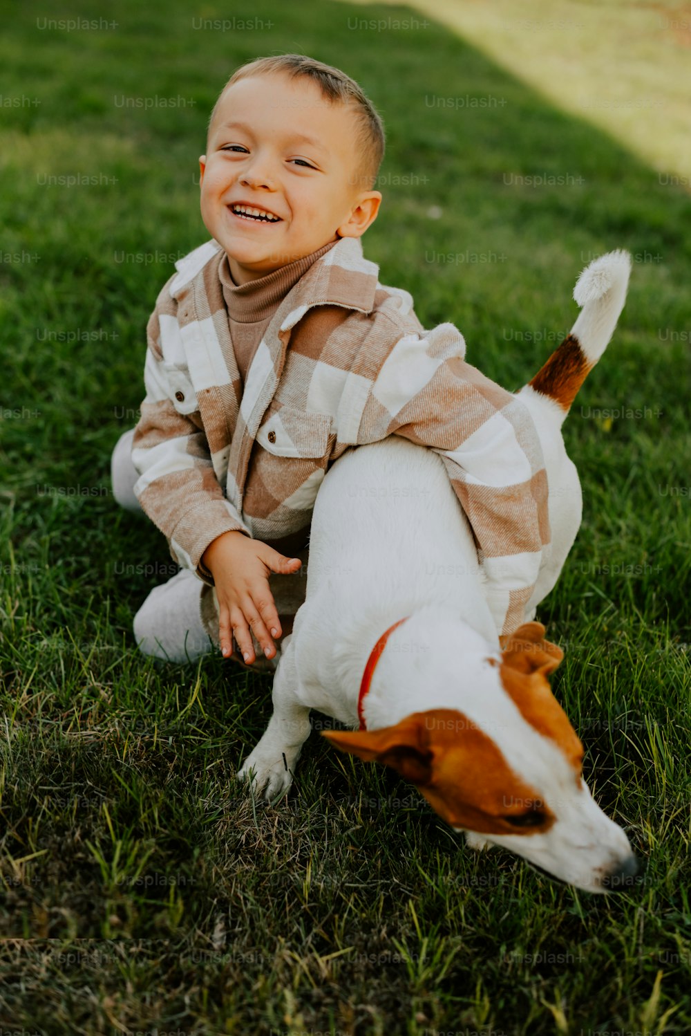 um menino que está sentado na grama com um cachorro