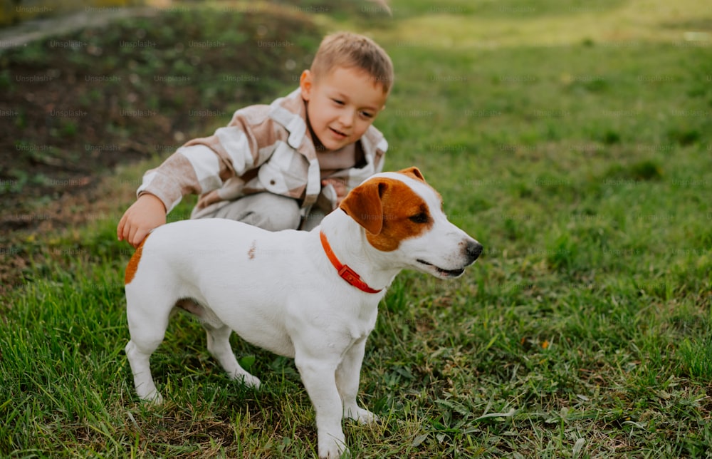 a young boy kneeling down next to a white and brown dog
