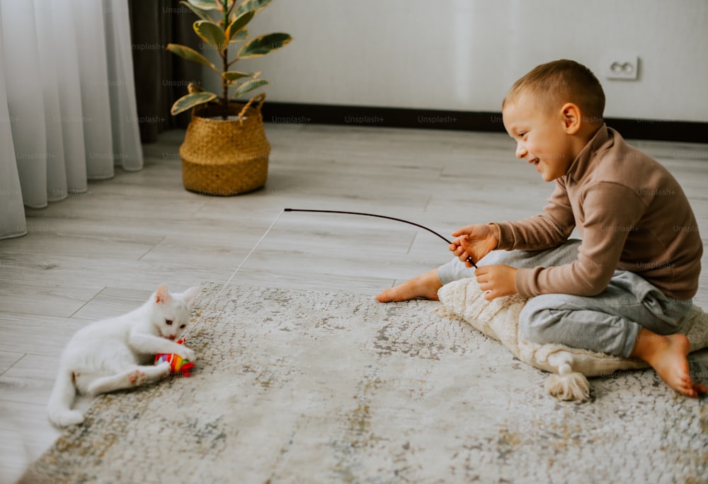 床で猫と遊ぶ小さな男の子