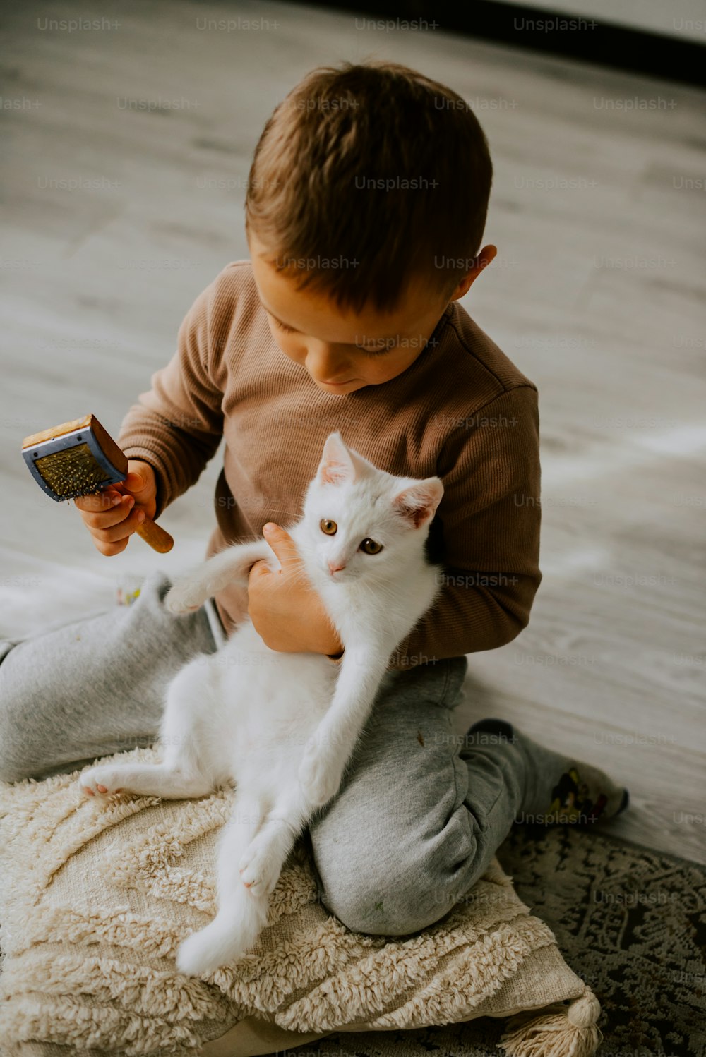 Ein kleiner Junge, der eine weiße Katze hält, während er auf dem Boden sitzt