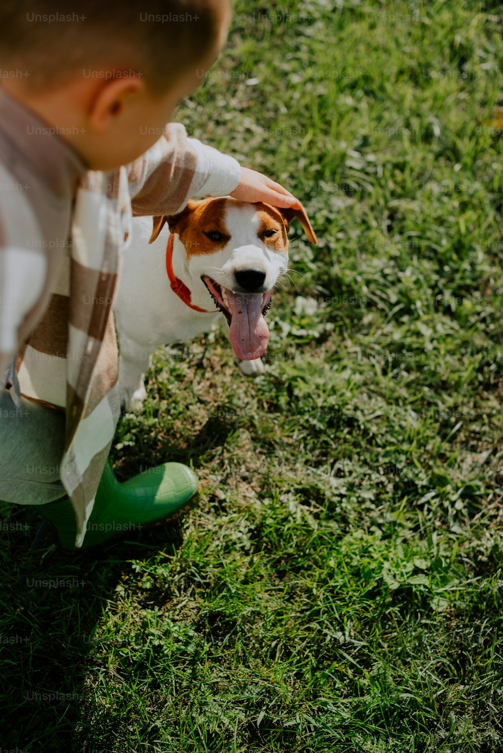 a young boy kneeling down next to a brown and white dog