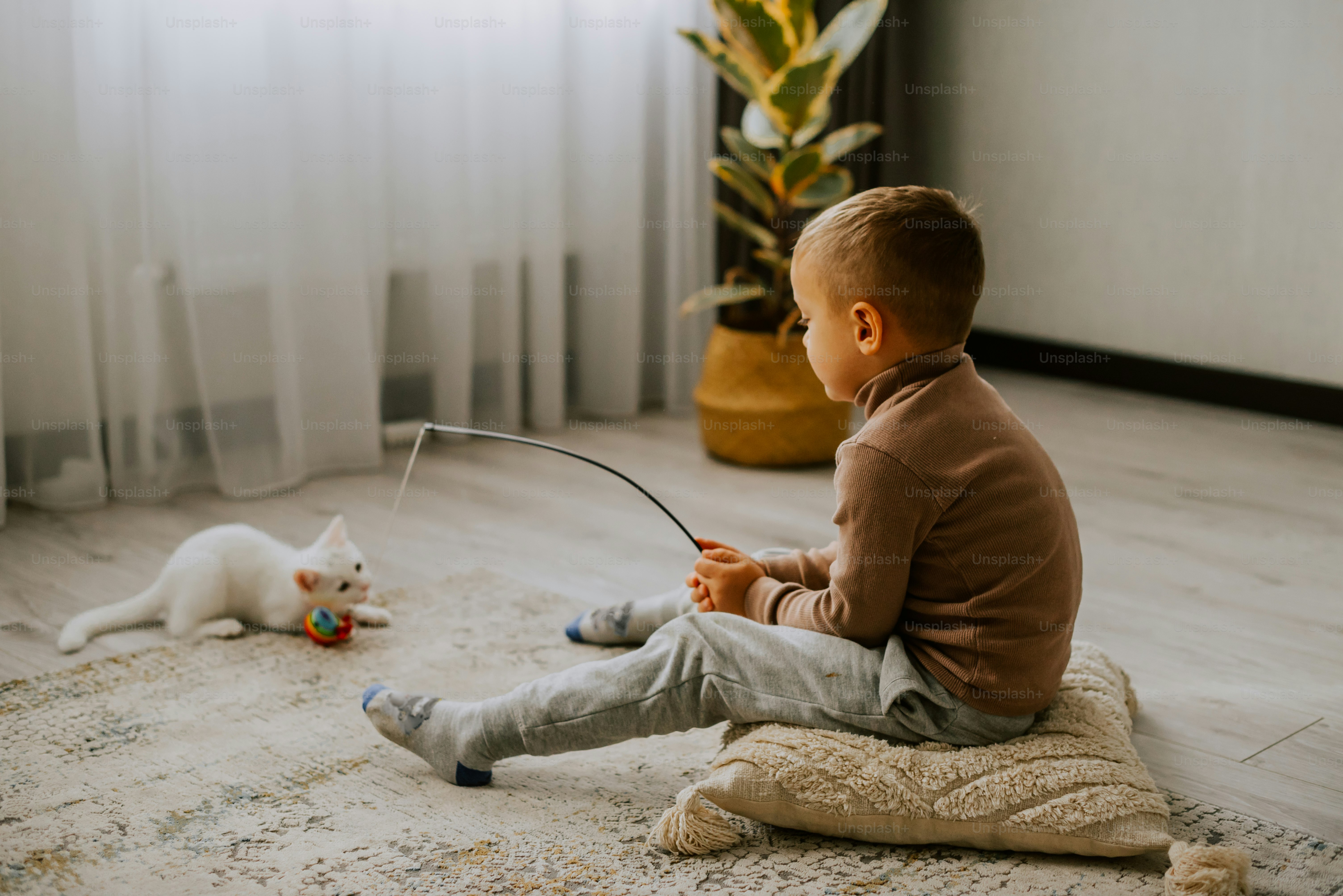 a little boy sitting on the floor playing with a cat