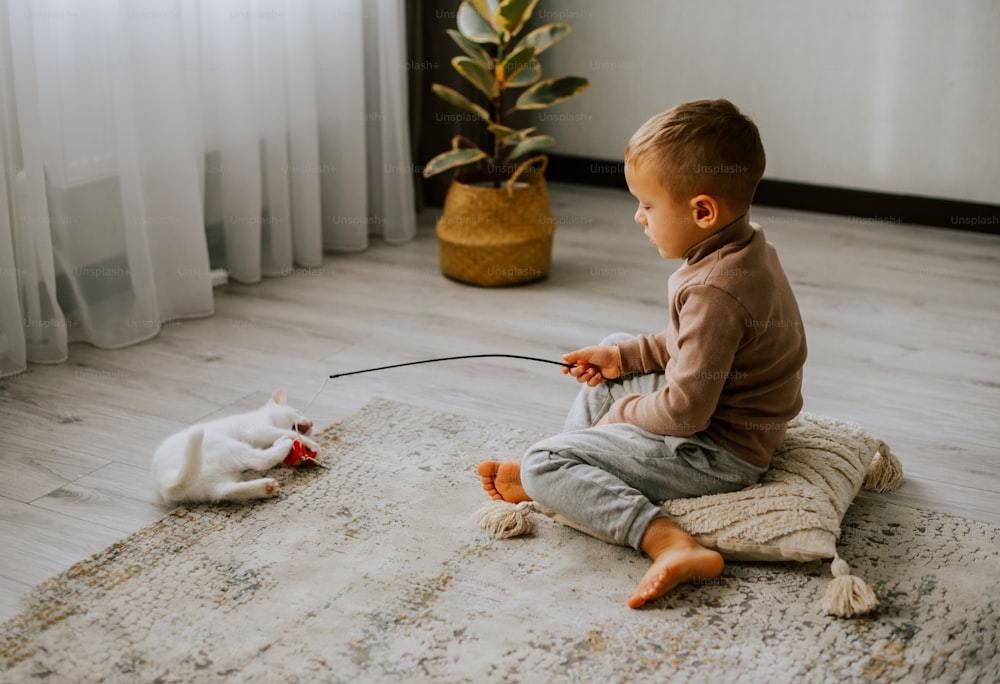 Un niño pequeño sentado en el suelo jugando con un gato