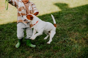 a little boy holding a green frisbee next to a dog