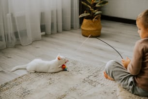 um menino sentado no chão brincando com um gato