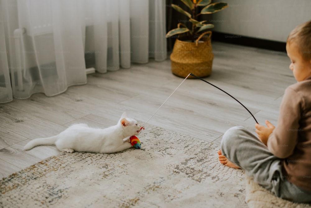 un ragazzino seduto sul pavimento che gioca con un gatto