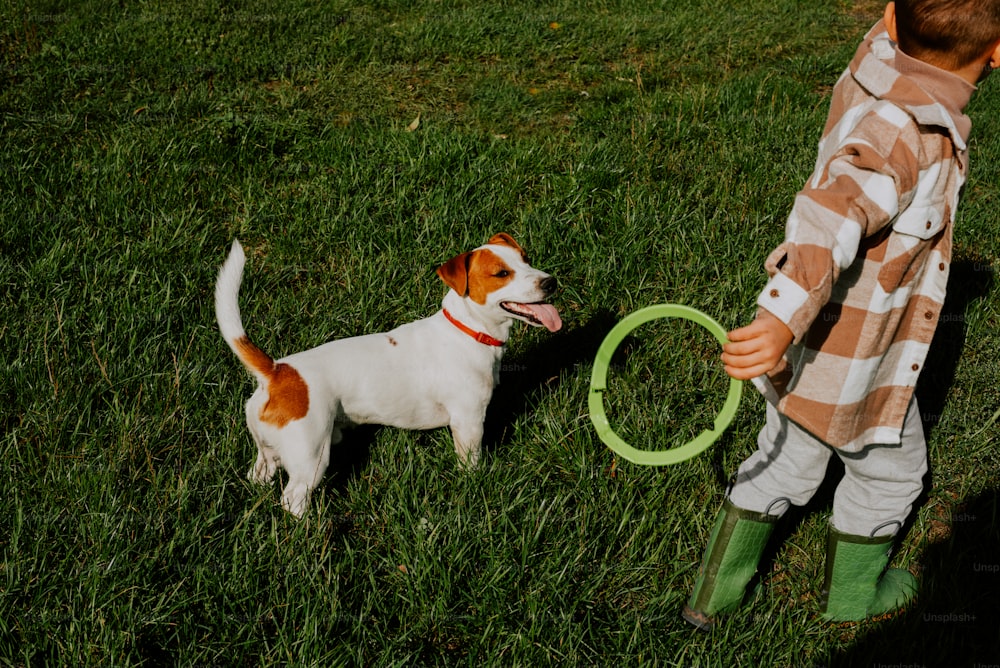 um menino brincando com um cachorro na grama
