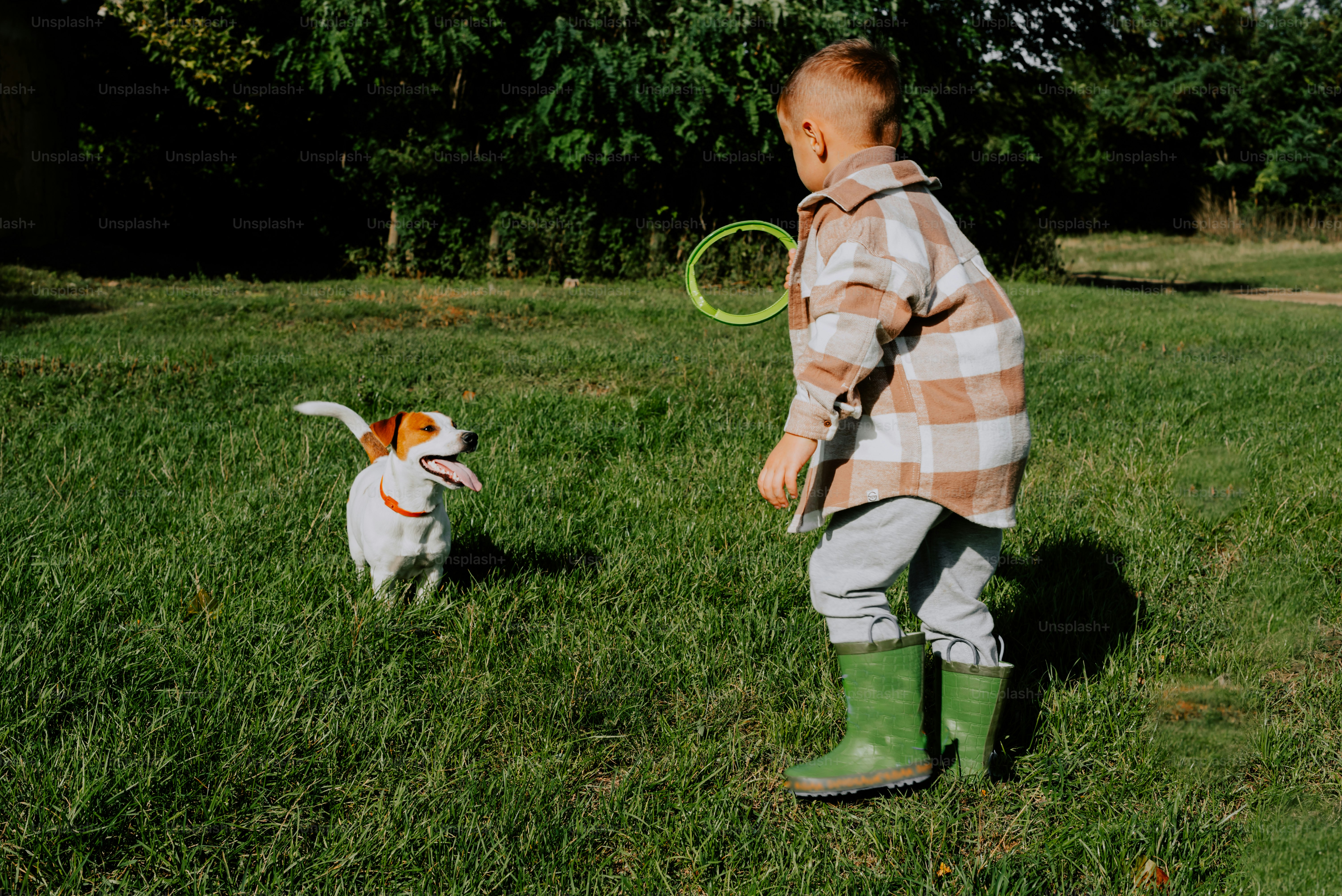a little boy playing with a dog in the grass