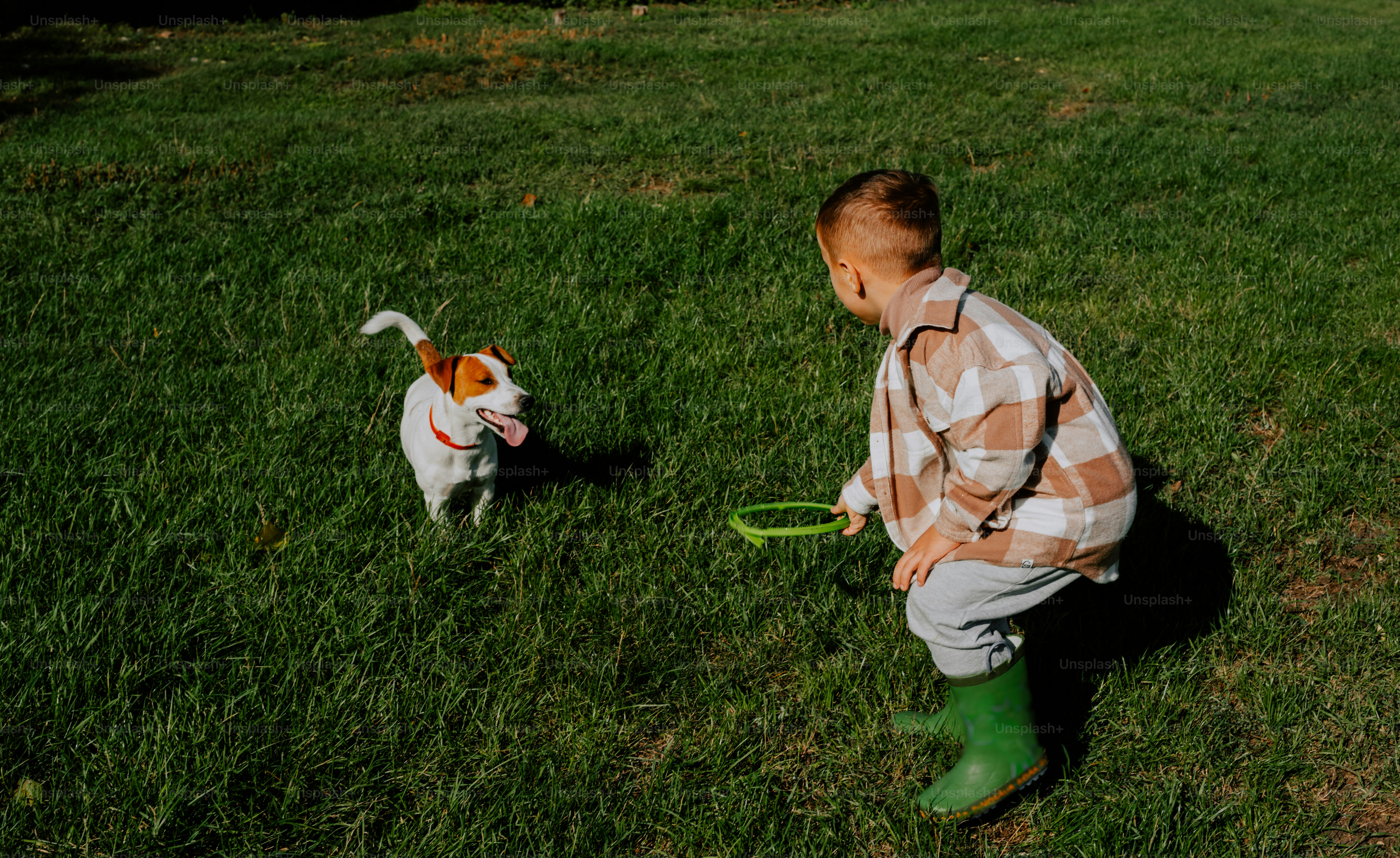 a little boy playing with a dog in the grass