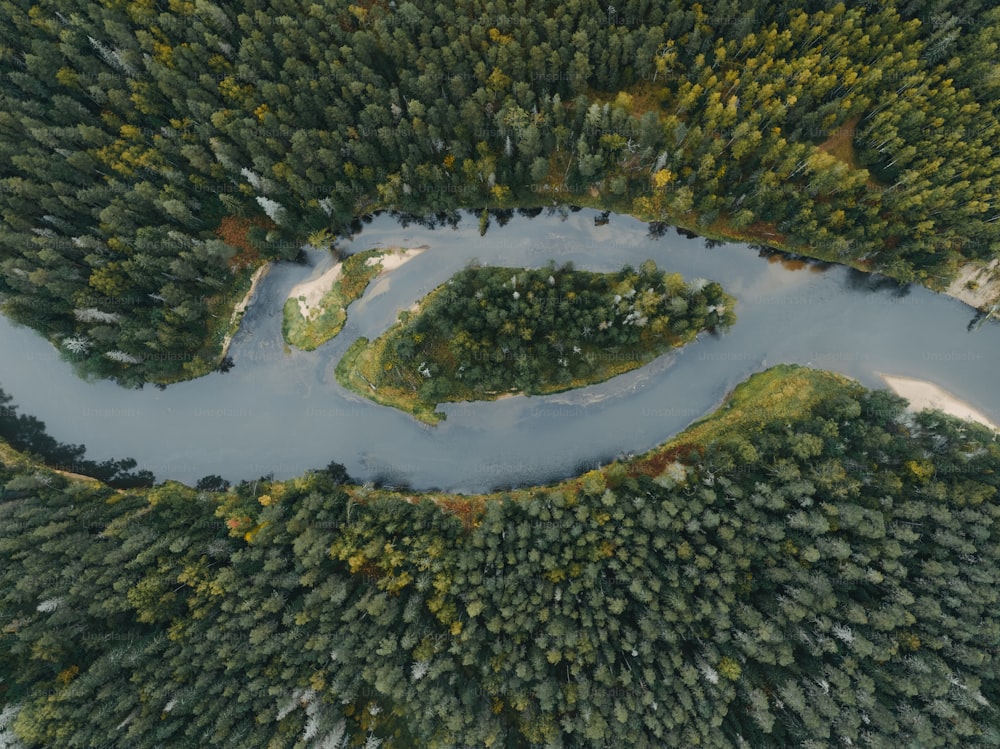 una veduta aerea di un fiume circondato da alberi