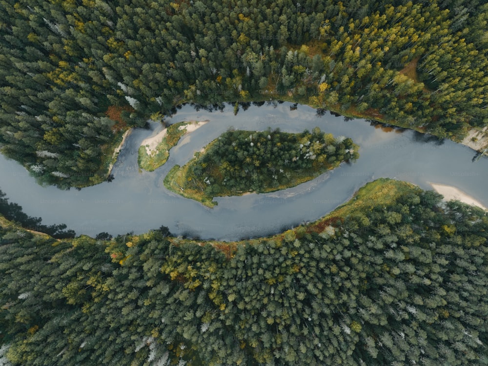 an aerial view of a river surrounded by trees