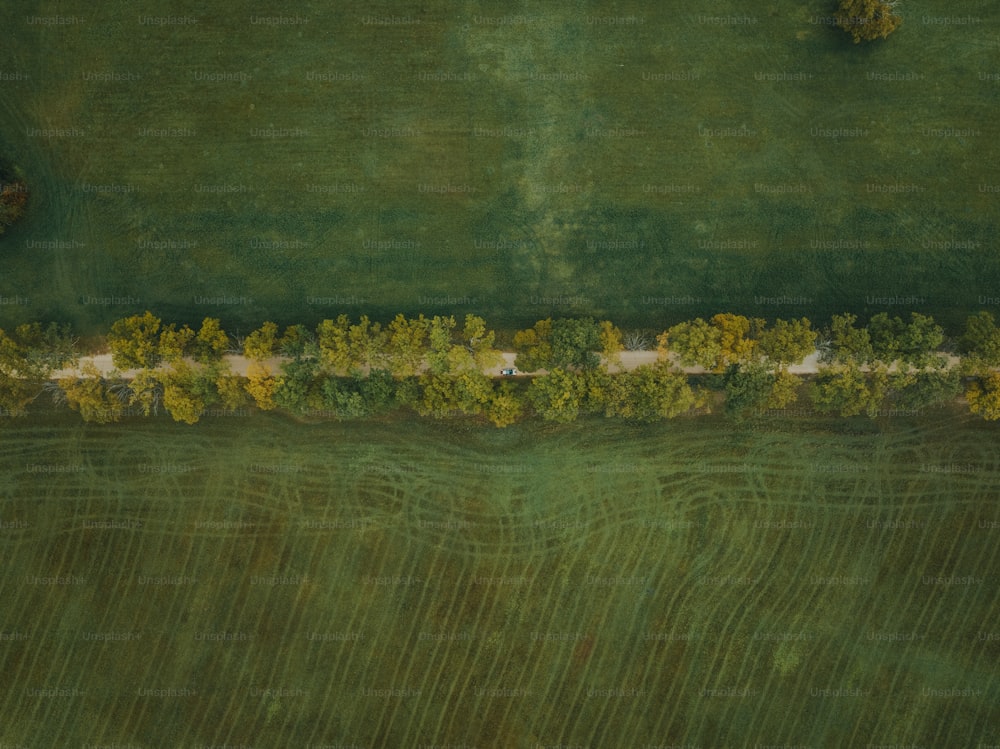 an aerial view of a green field with trees