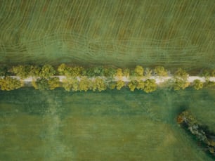 Una vista aérea de un barco en un cuerpo de agua