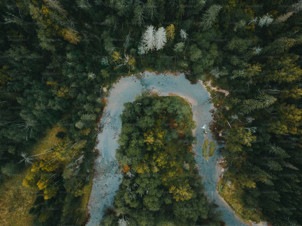 an aerial view of a river surrounded by trees