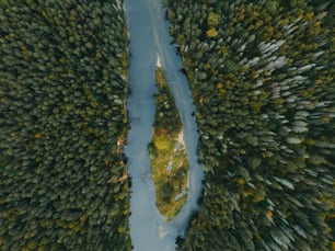 an aerial view of a river running through a forest