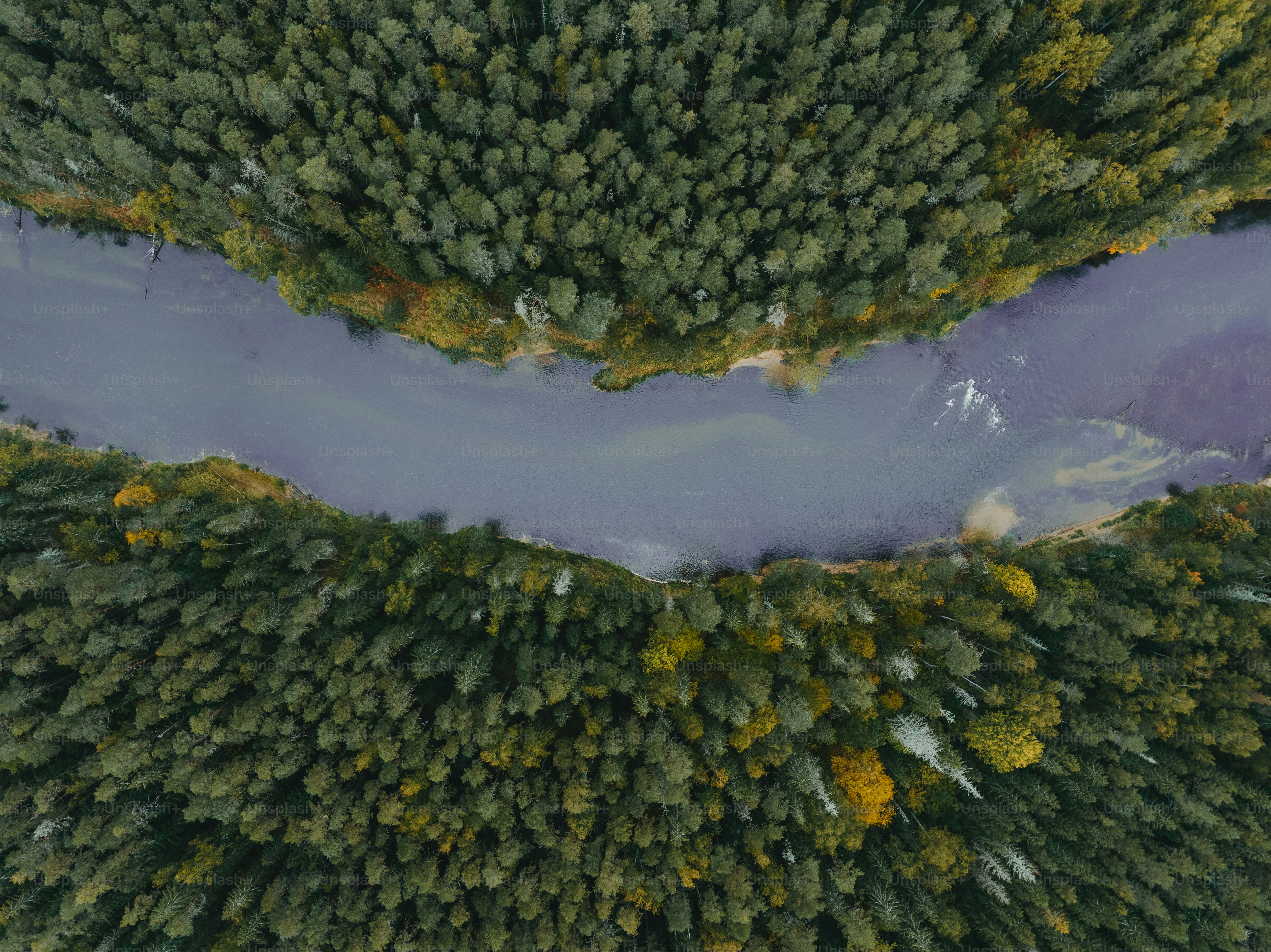An aerial view of a river surrounded by trees photo – Latvia Image on ...