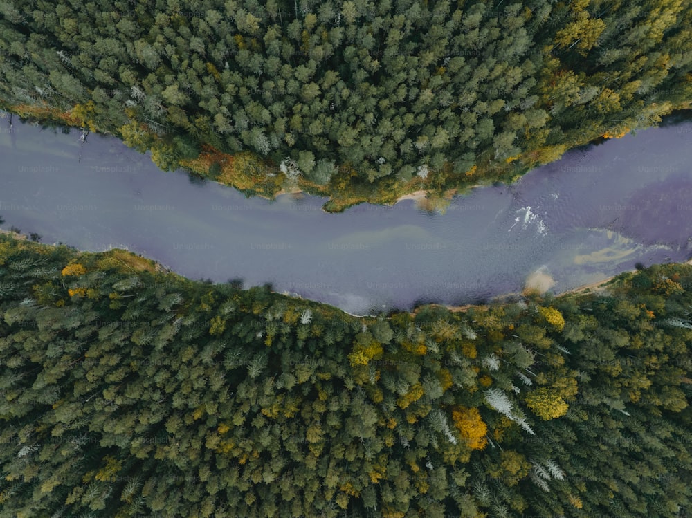 an aerial view of a river surrounded by trees