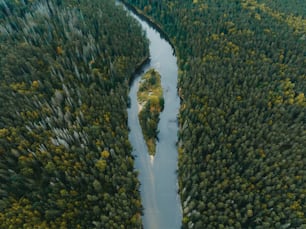 an aerial view of a river running through a forest