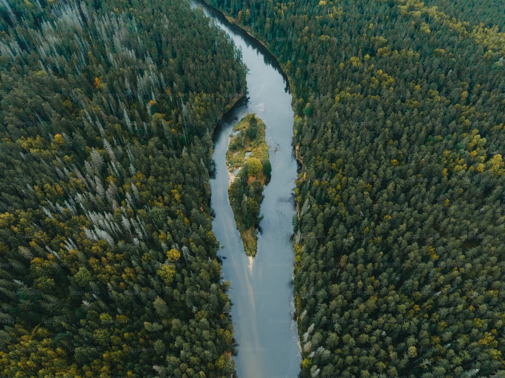 森の中を流れる川の空撮