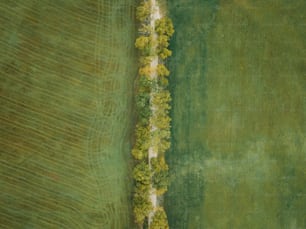 an aerial view of a green field with trees