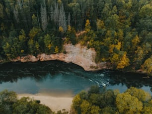 an aerial view of a lake surrounded by trees