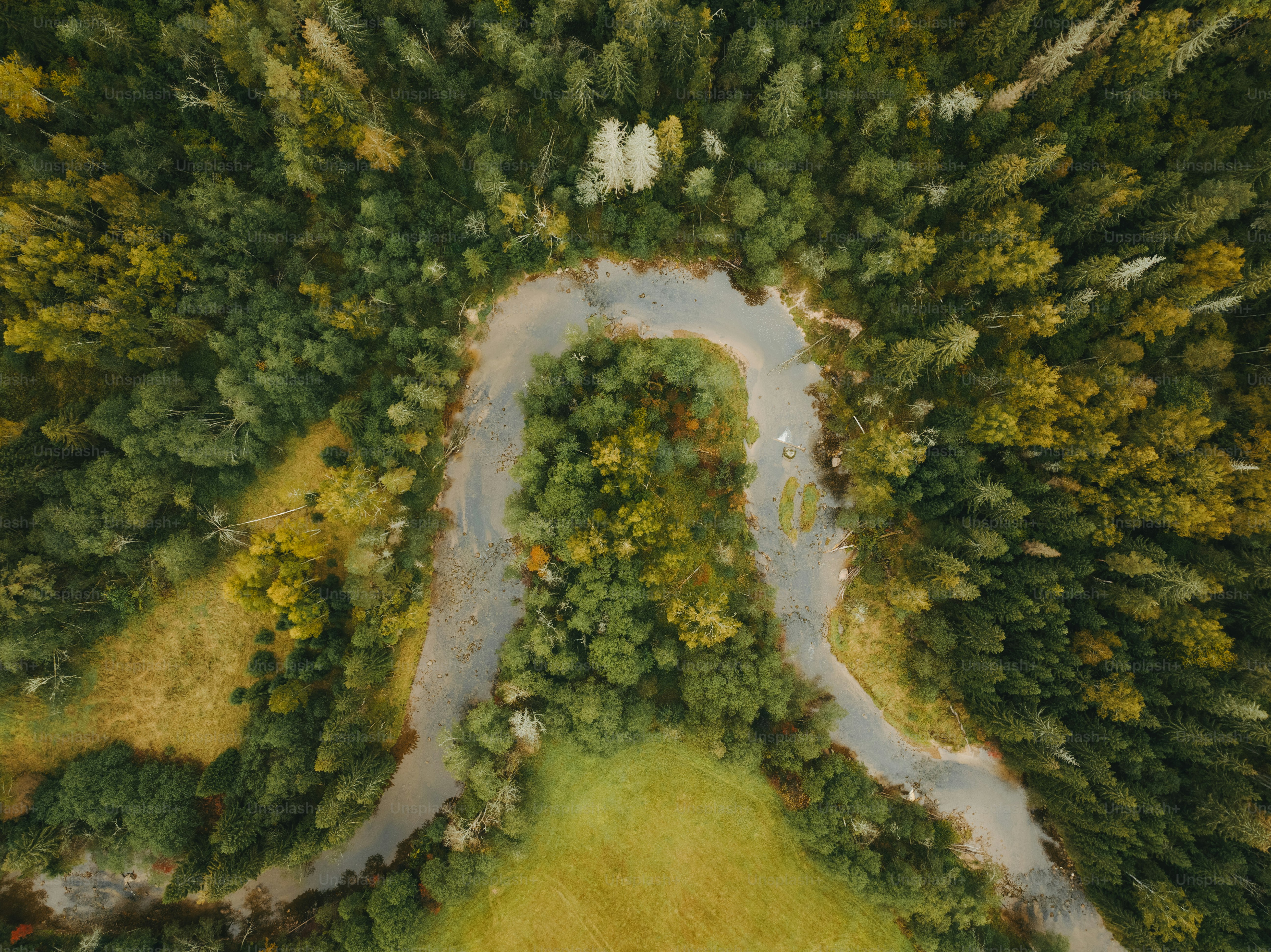 an aerial view of a road in the middle of a forest