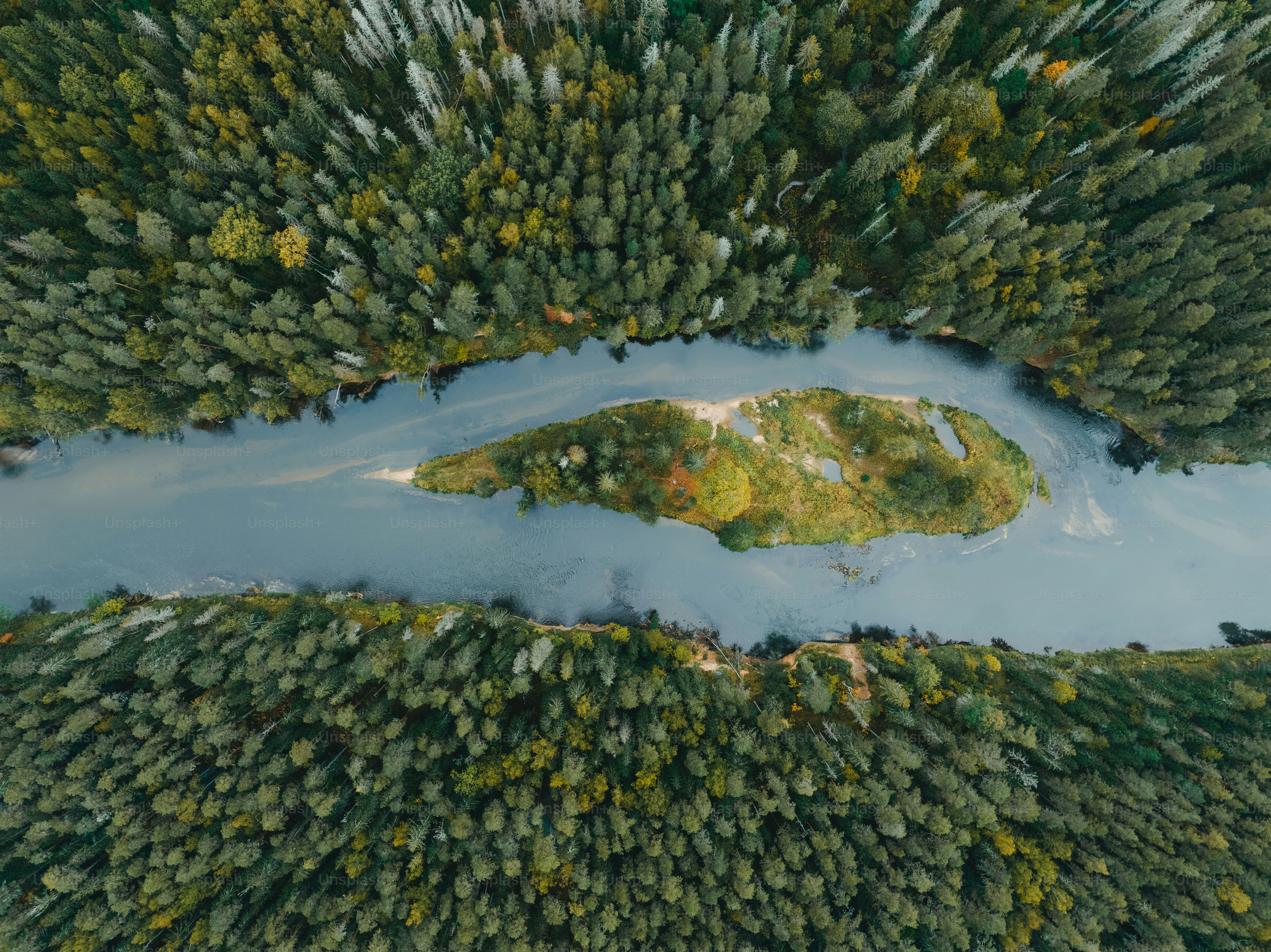 Eine Luftaufnahme eines von Bäumen umgebenen Gewässers
