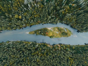 an aerial view of a body of water surrounded by trees